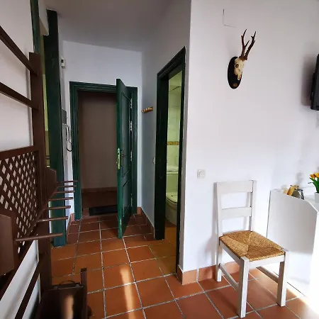 Imeda Salvia Dos Sierra Nevada