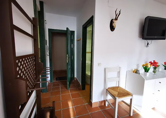 Imeda Salvia Dos Sierra Nevada